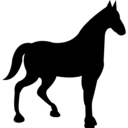 animals,animal,black,silhouette,horse,quit,silhouettes,race,horses